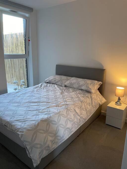 Spacious Apartment In The Heart Of צ'למספורד מראה חיצוני תמונה