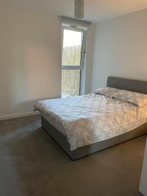 Spacious Apartment In The Heart Of צ'למספורד מראה חיצוני תמונה